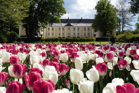 Tulipanfestival på Gavnø