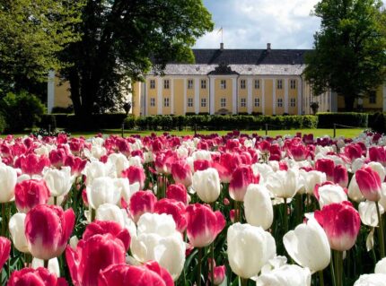 Slotsparken på Gavnø i fuldt flor med tulipaner